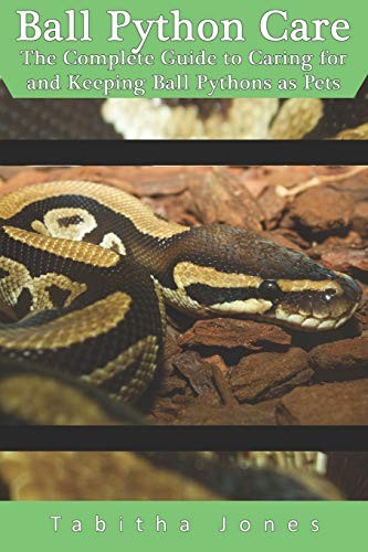 Ball python care the - ball, :