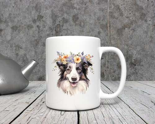 Border collie dog 11 - border, dog 