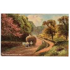 WINCHMORE HILL Middlesex The Chase Postcard dated 1907, Unposted