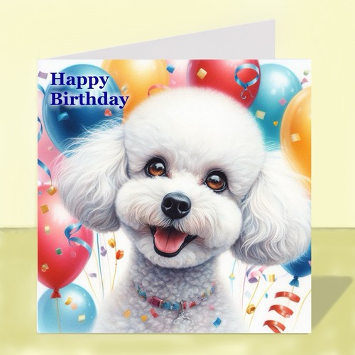 Miniature poodle dog - poodle,
