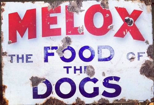 Original old enamel melox dog - original,