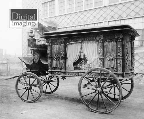 Historic photo reprint horse - historic, reprint: