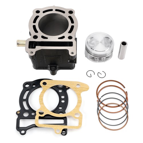 Cylinder piston gaskets kit - cylinder,