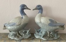 Two Ducks.A Pair Of Ladro