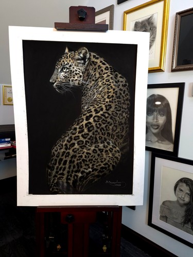 Leopard shri lanka original - leopard,