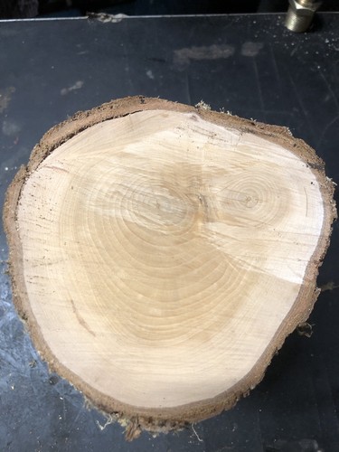 Seasoned pear wood - wood, for