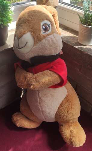 Large peter rabbit - rabbit, the