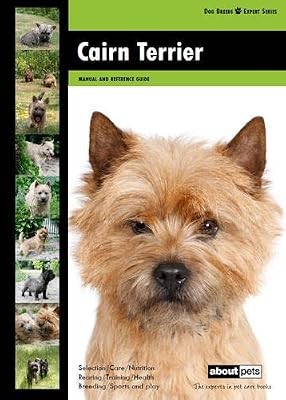 Cairn terrier dog breed - terrier,