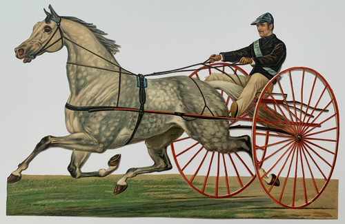 Horse harness cart racing