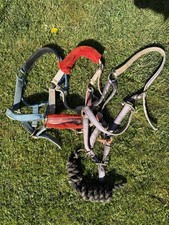 Head Collars 