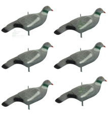 FLOCKED PIGEON SHELL DECOY