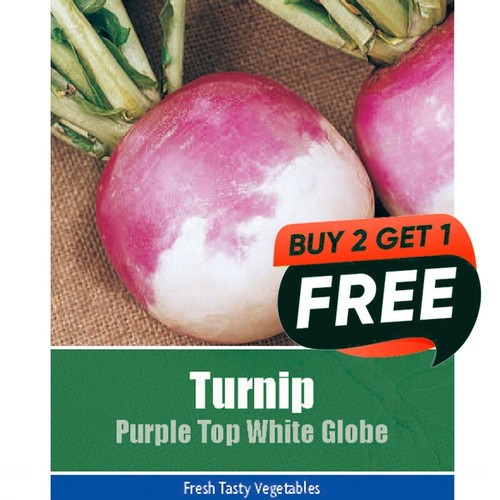 Vegetable seeds turnip purple - vegetable,