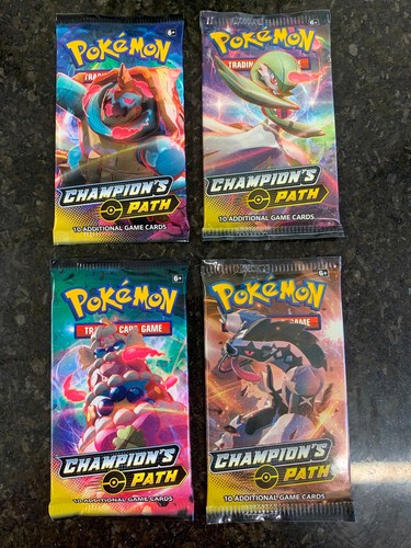 Pokemon champions path - pokemon,
