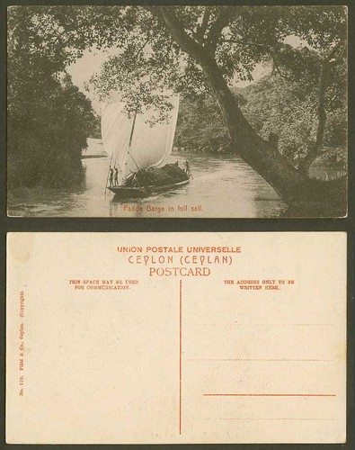 Ceylon old postcard padda - ceylon,