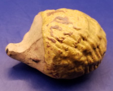 Hedgehog Cornish Tremar Studio