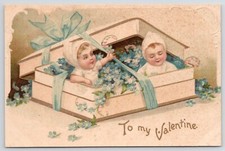 Babies Sit on Box of Forget Me