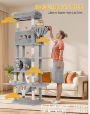 210cm extra large cat - extra,