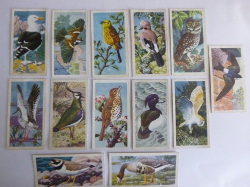 Brooke bond tea cards - cards, bird