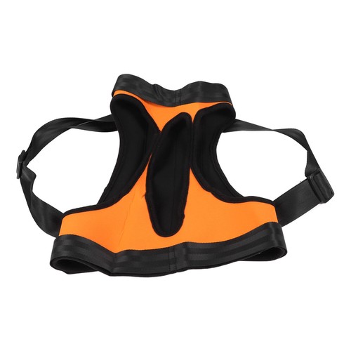 Dog sling for rear legs - for,