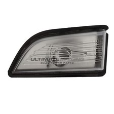 Wing Door Mirror Indicator