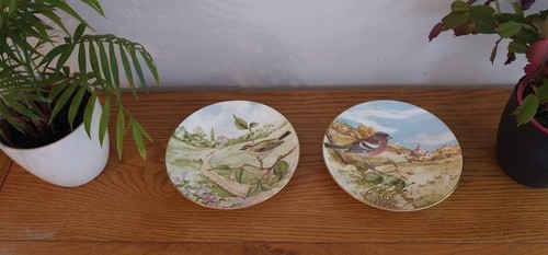 Two crown china bird - crown,
