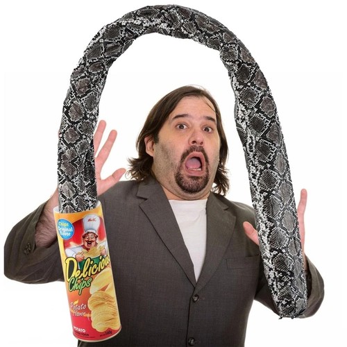 Potato chip snake can gag - potato,