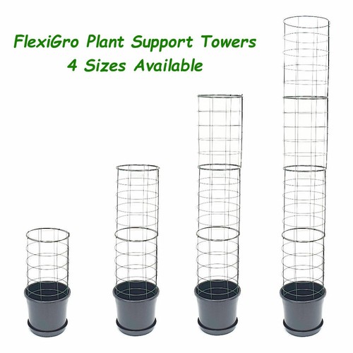 Plant support trellis - trellis, metal