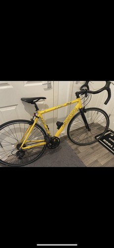 Carrera men road bike - road,