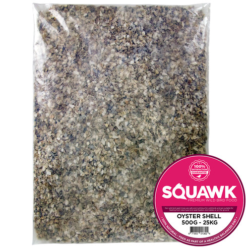 Squawk hen sized oyster shell - hen,