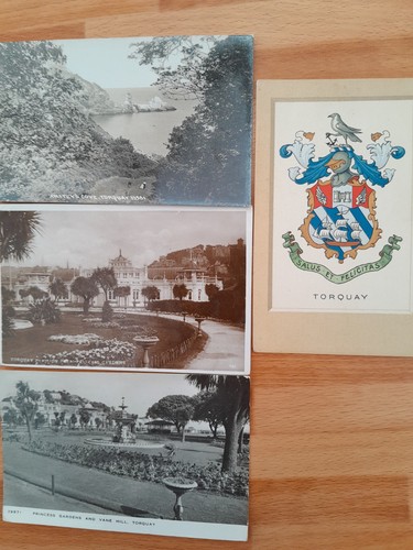 Torquay cards 36497 - torquay,