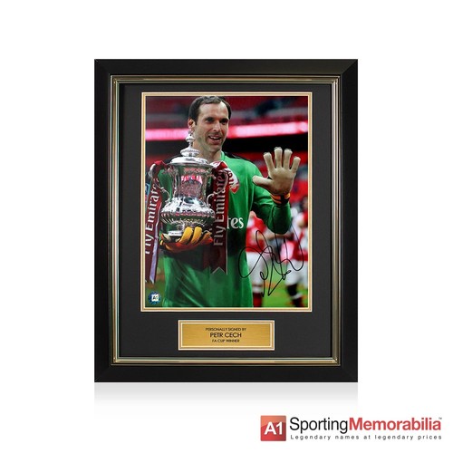 Petr cech arsenal - petr,