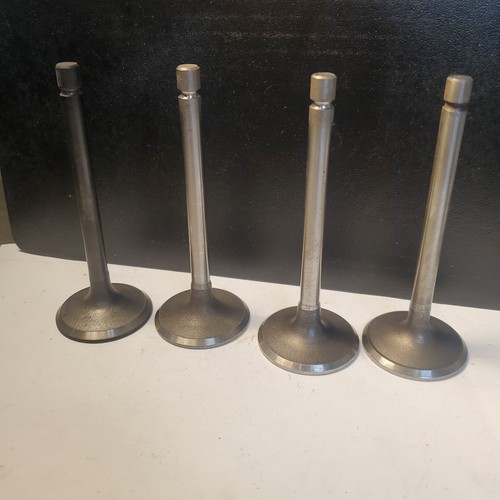 Intake valves 2 - 4x,