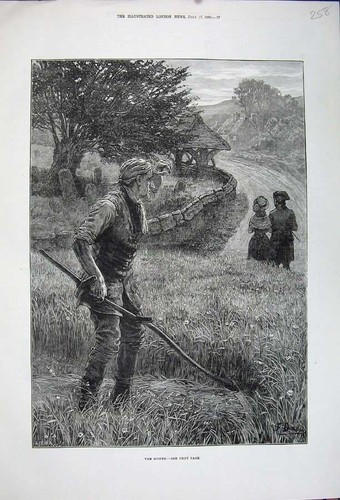 Old antique print - print, 1880