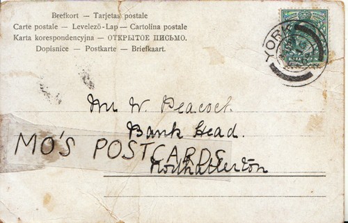 Genealogy postcard peacock - postcard,