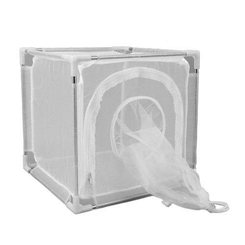 Fly mesh cage - mesh, observation