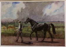 LIONEL EDWARDS - RACEHORSE &