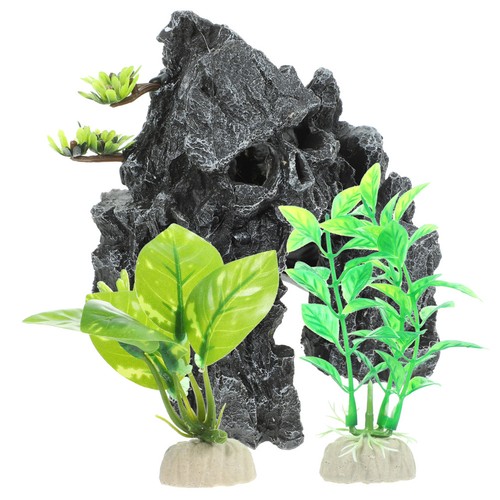 Lizard accessories snake - lizard,