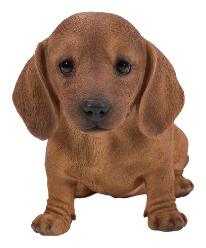 Vivid arts pet - arts, brown