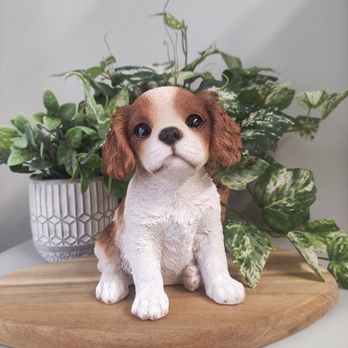 Vivid arts pet pals realistic - pet,
