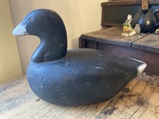 Antique Primitive carved wooden Duck Coot decoy Glass Eyes Thiebeau Point