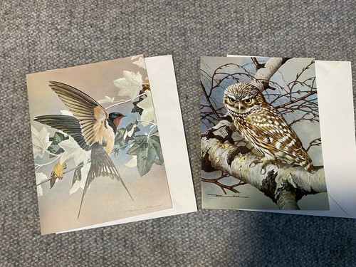 Large unused vintage cards - unused,