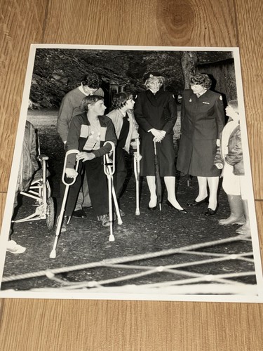 Princess diana red cross - in,