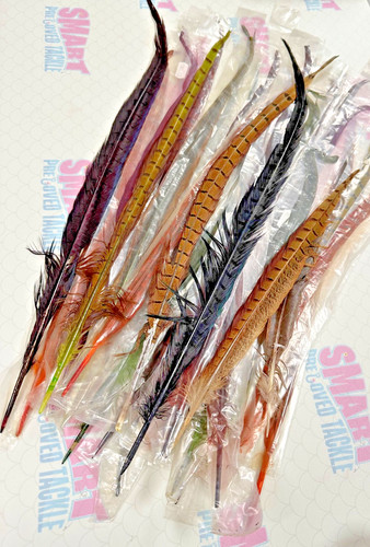 Pheasant tail feathers - , 30