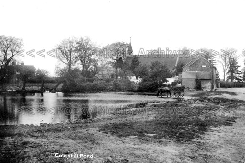 Bbw coleshill pond - bbw-20,