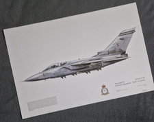Squadron Print Tornado F.3 ZE838 'FA' XXV(F) Sqn RAF Leeming Squadron Prints