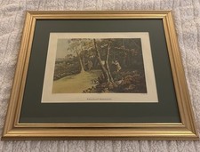 Pheasant Shooting - Henry