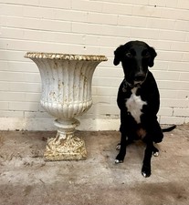 An Incredibly Good Quality