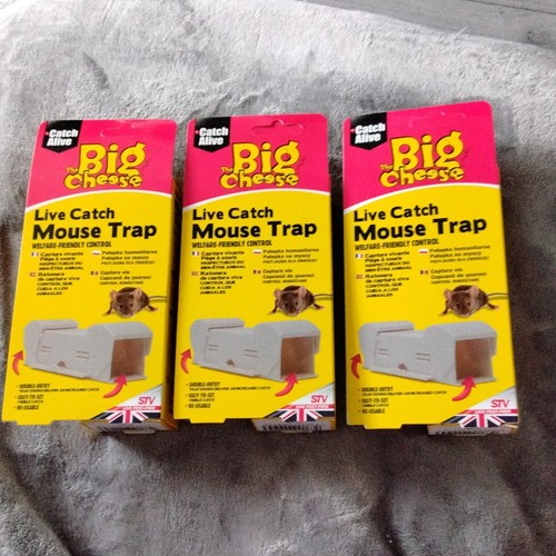 Big cheese live catch mouse - 3x,