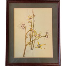 Charles Rennie Mackintosh