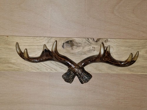 Antler coat hook oak - antler,